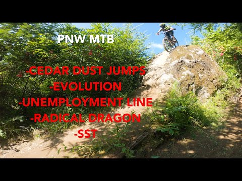 Mountain Biking Galbraith Mountain WA [5 Trails Top to Bottom]!