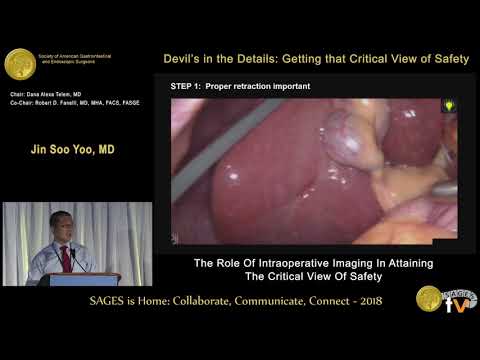 Role of intraoperative imaging in obtaining critical view of safety from the SAGES Video Library
