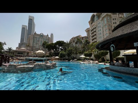 الفيديو