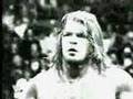 HHH Vs HBK Bad Blood Promo