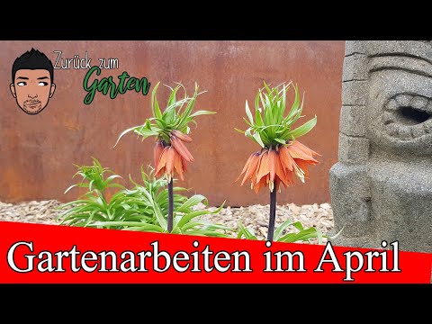 , title : 'Gartenarbeiten April Staudenbeet, Hecken, Sommerblüher, Rasenpflege'