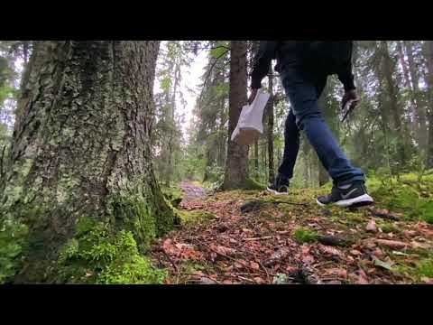 Into the forest | Huddinge | Sweden | iphone shots