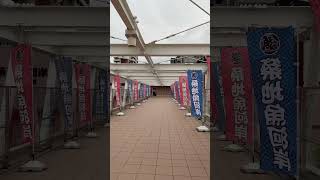 王子を探せ！#王子のいる生活 #王子様 #王子