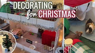 Decorating My Guinea Pigs Cage For Christmas!