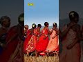 Dhimsa Dance The Tribal Rhythm Of Unity Telugu Traditions Telugutraditions Dhimsa Shorts