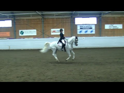 DM - Värmland 2020 Dressyr Msv:A1