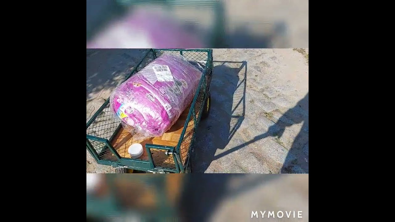 Watch KARMA SUCHA - 2x14 kg Whiskas : hojny darczyńca nie pozwala o sobie zapomnieć : 23.07.2021/17:00 now KARMA SUCHA - 2x14 kg Whiskas : hojny darczyńca nie pozwala o sobie zapomnieć : 23.07.2021/17:00
