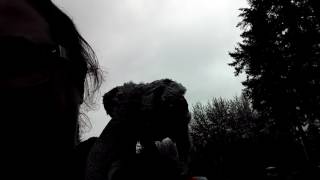 Rain keeps fallin&#39;, rain keeps fallin&#39;