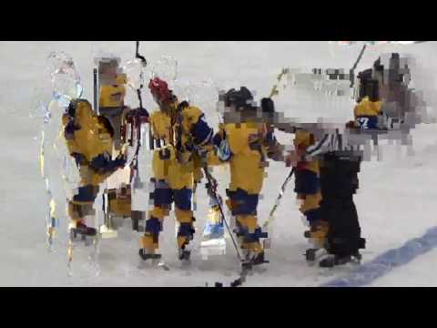 20. 2016 WESE STH 05 Finland SHD - 05 Sweden SHD Yellow