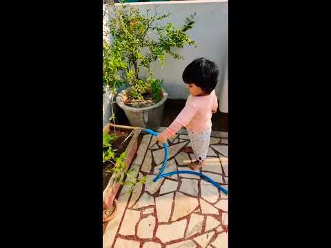 heerak pandey boomerang