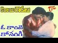 Kirayi Rowdylu Movie Songs O Konte Konangi Video Song Chiranjeevi Radhika
