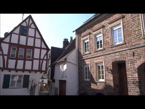 Moselsteig bei Ediger-Eller