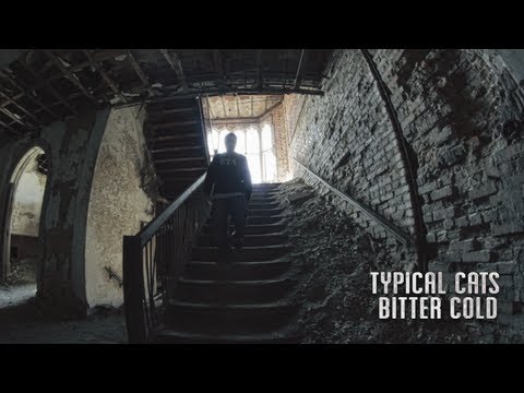 Typical Cats - Bitter Cold | Official Music Video