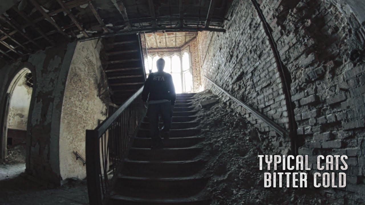 Typical Cats – “Bitter Cold”