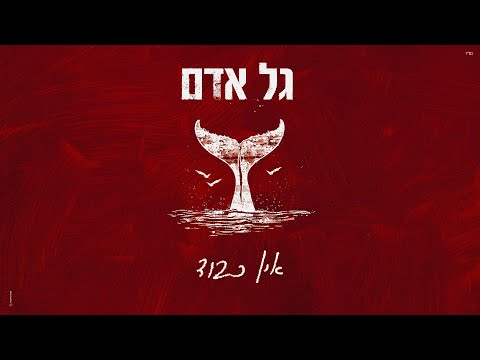 גל אדם - אין כבוד (Prod.By Tamir Zur)