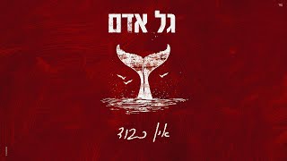 אין כבוד