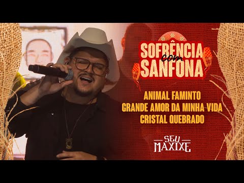 Seu Maxixe - Sofrência Com Sanfona - São João 2022 - O Melhor do Sertanejo e Forró das Antigas
