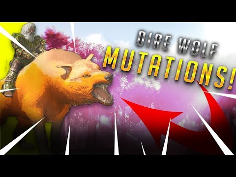DIREWOLF EPIC MUTATIONS AND UNICORN TAMING!! ARK: SURVIVAL EVOLVED/RAGNAROK  (S1E1) [2019]