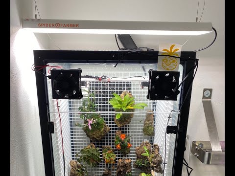 Setting Up and Installing My New SPIDERFARMER SF-300 LED Grow Light