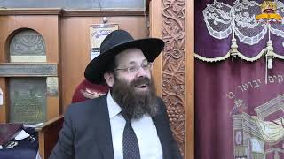 ממעמד הר סיני ועד לחייל והנחש - למה אנחנו חייבים את התורה? | הרב יוסף שושן (קו ההלכה הספרדי) - התמונה מוצגת ישירות מתוך אתר האינטרנט יוטיוב. זכויות היוצרים בתמונה שייכות ליוצרה. קישור קרדיט למקור התוכן נמצא בתוך דף הסרטון