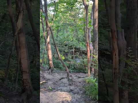 Hike to a secret waterfall.