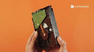 Жесткий диск Seagate Skyhawk ST6000VX001 - купить в Ситилинк | 1063166