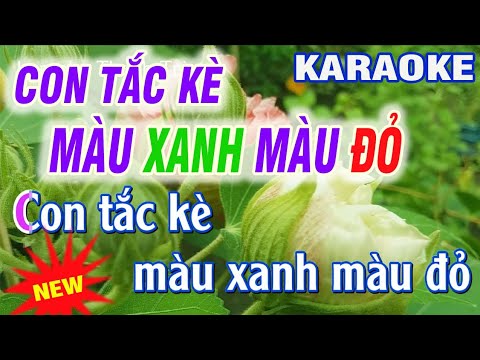 karaoke CON TẮC KÈ MÀU XANH MÀU ĐỎ - REMIX - hài hước theo bài em là hoa hồng nhỏ