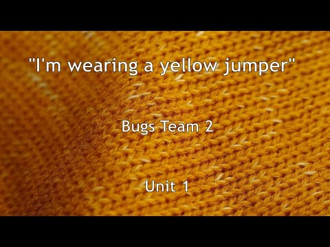 "I'm wearing a yellow jumper" song, Bugs Team 2, unit 1.