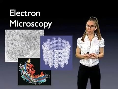 エヴァ・ノガレス（カリフォルニア大学バークレー校）。電子顕微鏡入門 (Eva Nogales (UC Berkeley): Introduction to Electron Microscopy)