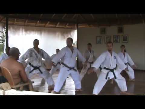 Seiunchin | Forma antiga - Goju Ryu