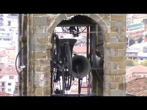 Le campane di Bergamo Alta (Bg) - Cattedrale di Sant'Alessandro Martire