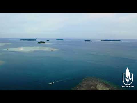 36 MINUTES OF AMAZING NATURE BEACHES & RELAXING MUSIC FOR STRESS RELIEF, STUDY, RESTING