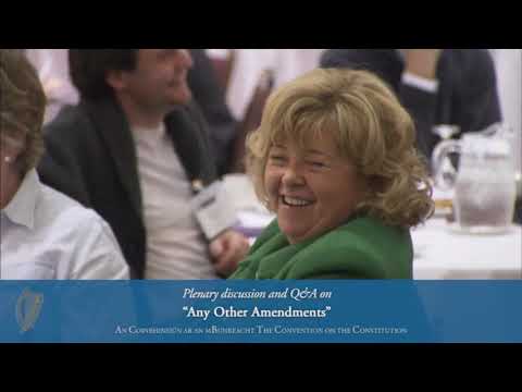 2014.02.23 Convention on the Constitution. Plenary Session and Q&A on 'Any Other Amendments'