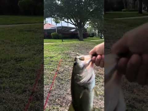 Throw a bait that actually catches fish. Link in bio💪💪