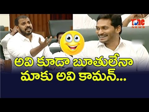 MLA Anil Kumar Yadav Funny Answers To TDP Leaders Questions In AP Assembly | NewsOne Telugu Video