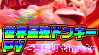 世界最強ドンキー撃墜集【スマブラSP】