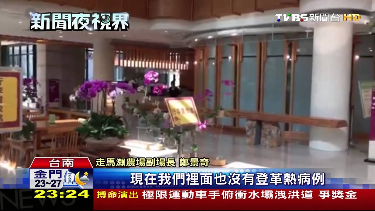 登革熱重創台南旅遊! 非疫區退房潮逾8成