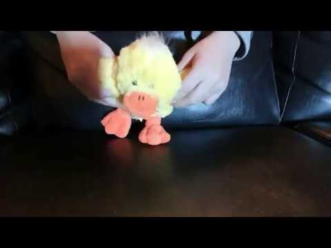 Plush Duck Dance - Paperotti - Digi Digi Quack Quack