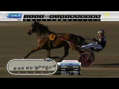 Harper Hanovers Lopp 2021 - Wild Love 1.11.9 - 3180