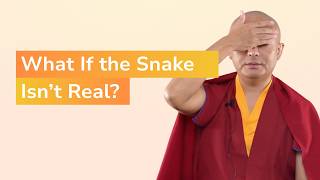 What If the Snake Isn’t Real? A Teaching on Fear and Wisdom