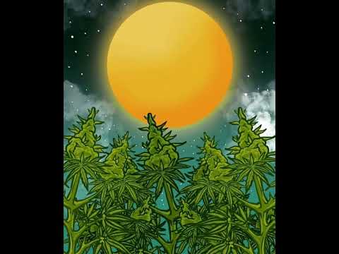 [FREE FOR PROFIT] Little Kush x Scorey type beat - Chasing Dreams 🌠 (Prod. SKi ⛷)