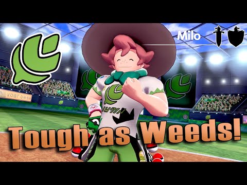 Grass Gym Battle | Pokemon Sword and Shield