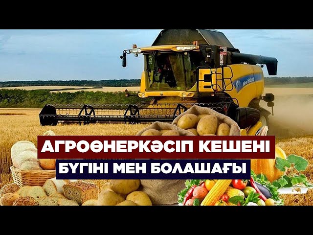 Жаһандану жағдайындағы агроөнеркәсіп кешенінің қарқыны қалай болады? | Жаңа қадам