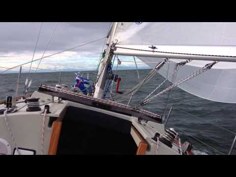 Life is Like Sailing - Spinnaker