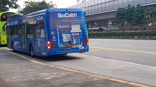 (Biocalth Full Body Advertisement) SMB1494L On Service 858 At Yishun Avenue 2