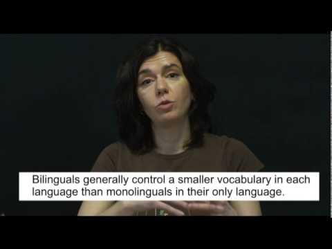 Cognitive Consequences of Bilingualism pt3 Dr. Jelena Havelka