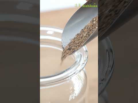 土を使わずに植物を植える: 私のティランジアが乾燥してしまうのはなぜですか?よくある4つの原因＋エアガールを復活させるにはどうすればいい？  庭園