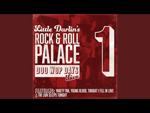 Rock 'n' Roll Is Here to Stay (Live)