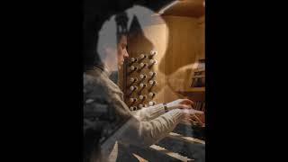 1ère Métamorphose (Christophe Guyard, orgue)