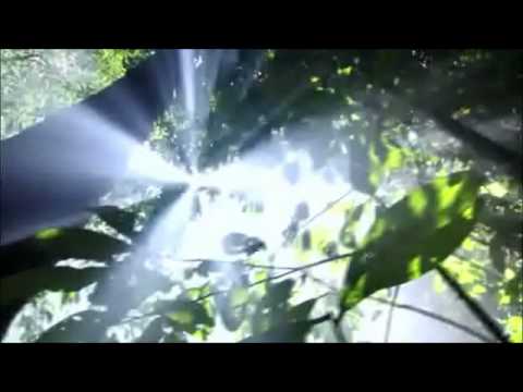 Dmitry Bessonov - Equator (Original Mix)